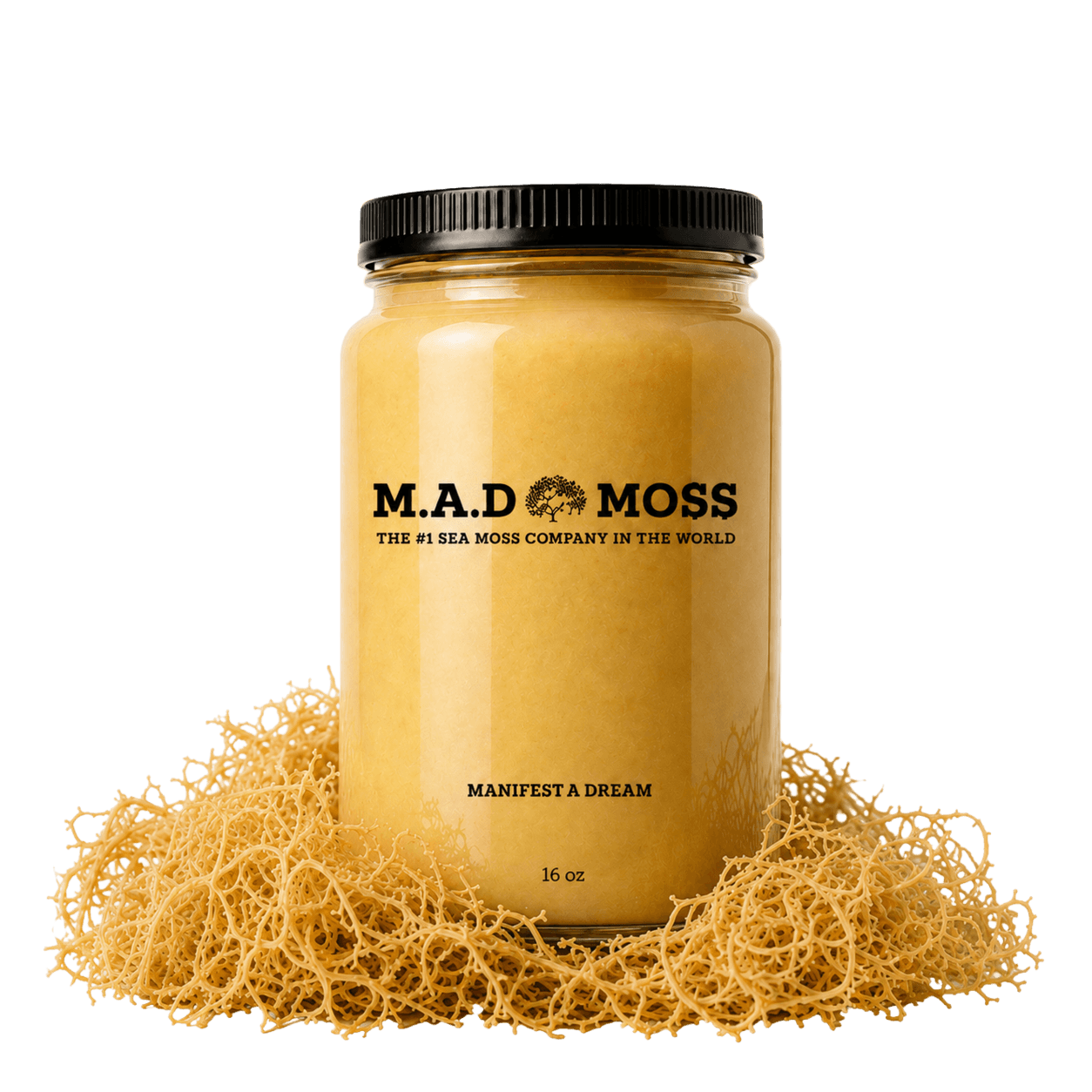 M.A.D MO$$ Original Sea Moss Gel — 16oz jar on wildcrafted sea moss